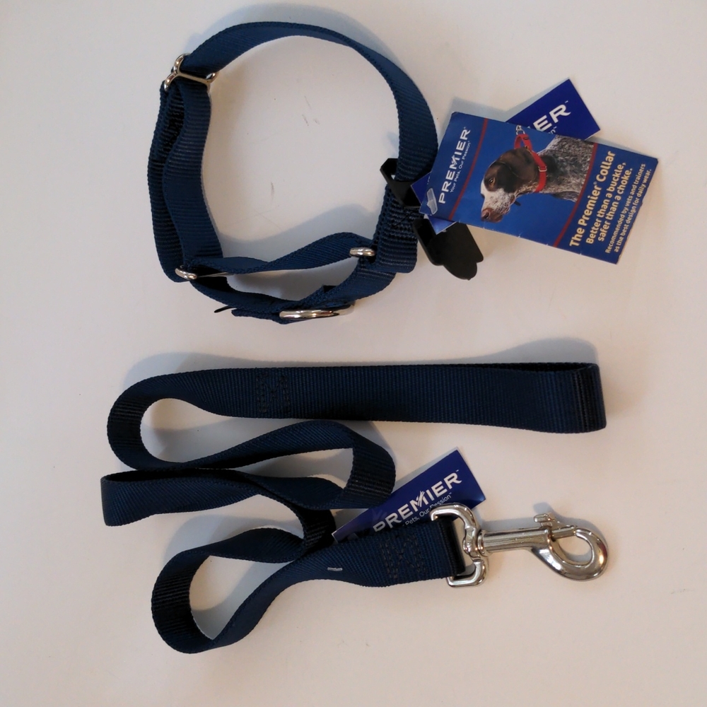 Premier Martingale/Leash Set